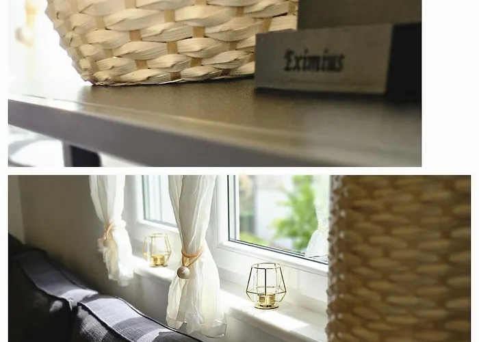 Eximius * Πούλα